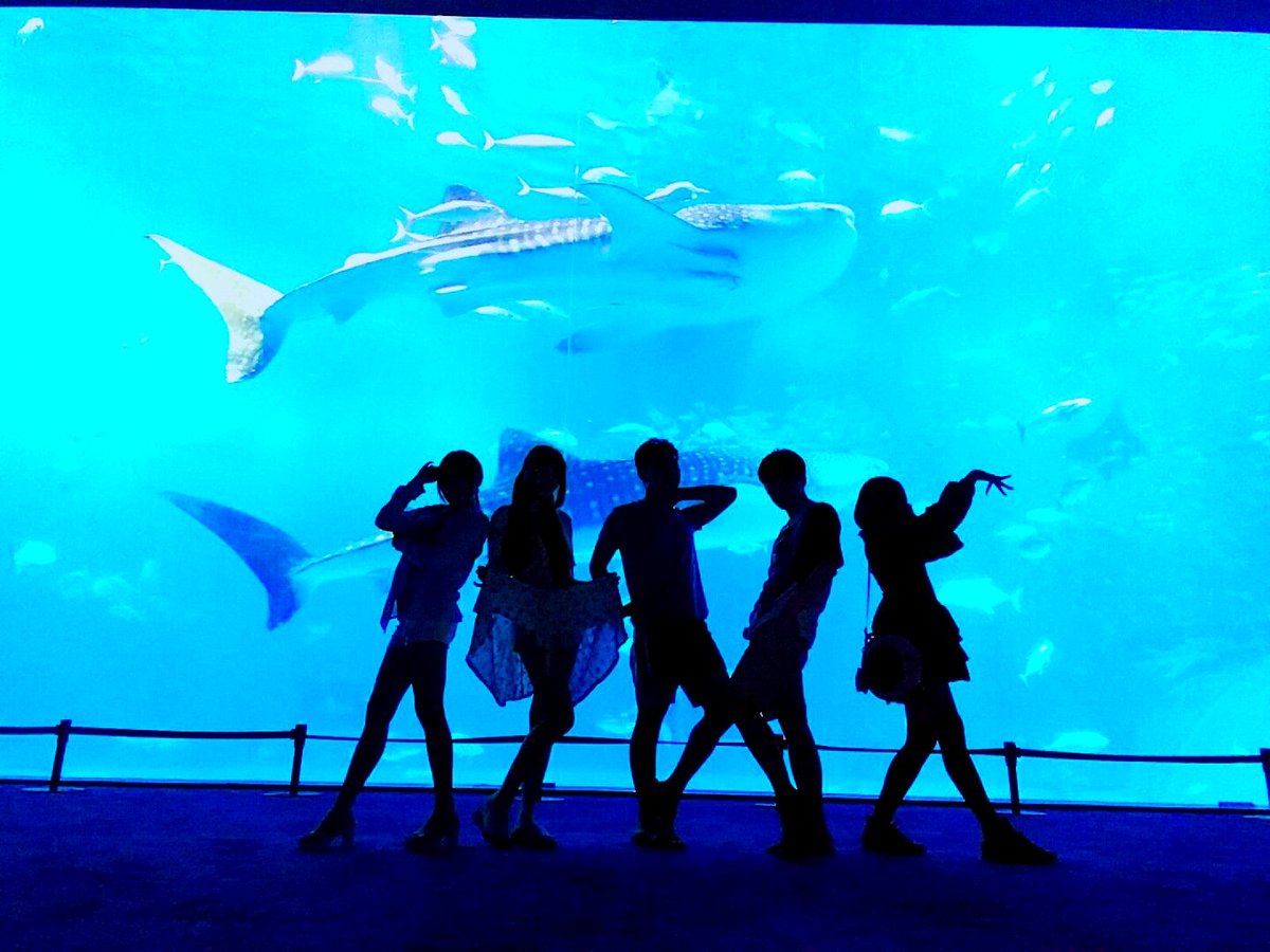 내인생에 가장 아름다운사진을 꼽으라면 당연히 이것

포즈에 대한 상의없이 다들 애니캐릭처럼 이라는단 한마디의 테마에 고래가 지나가는 순간 바로 포즈잡은 오덕영혼의 결정체

출근하기 힘들때마다 보고힘낸다