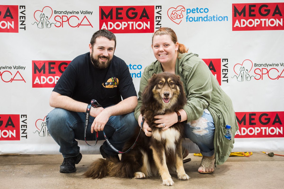 BrandywineSPCA's tweet photo. Did you adopt from Mega?! Here's a link to the adoption photos from the event, make sure to look through and find yours! Thanks again to everyone who adopted and made this event so magical! https://t.co/UR241NtVjx #TriStateMega #AdoptDontShop https://t.co/lbe9Zvgo7F
