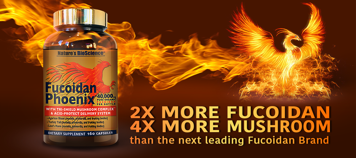 FucoidanPhoenix's tweet photo. Finally, scientifically-measured and verified #fucoidan meets DNA-verified and measured mushroom bioactive compounds. Quality and quantity meet fair and unbeatable pricing. Up front, transparency meets better potential outcomes. The result? Your health. Your wellbeing. Amazing! https://t.co/AhJXGPxiR9
