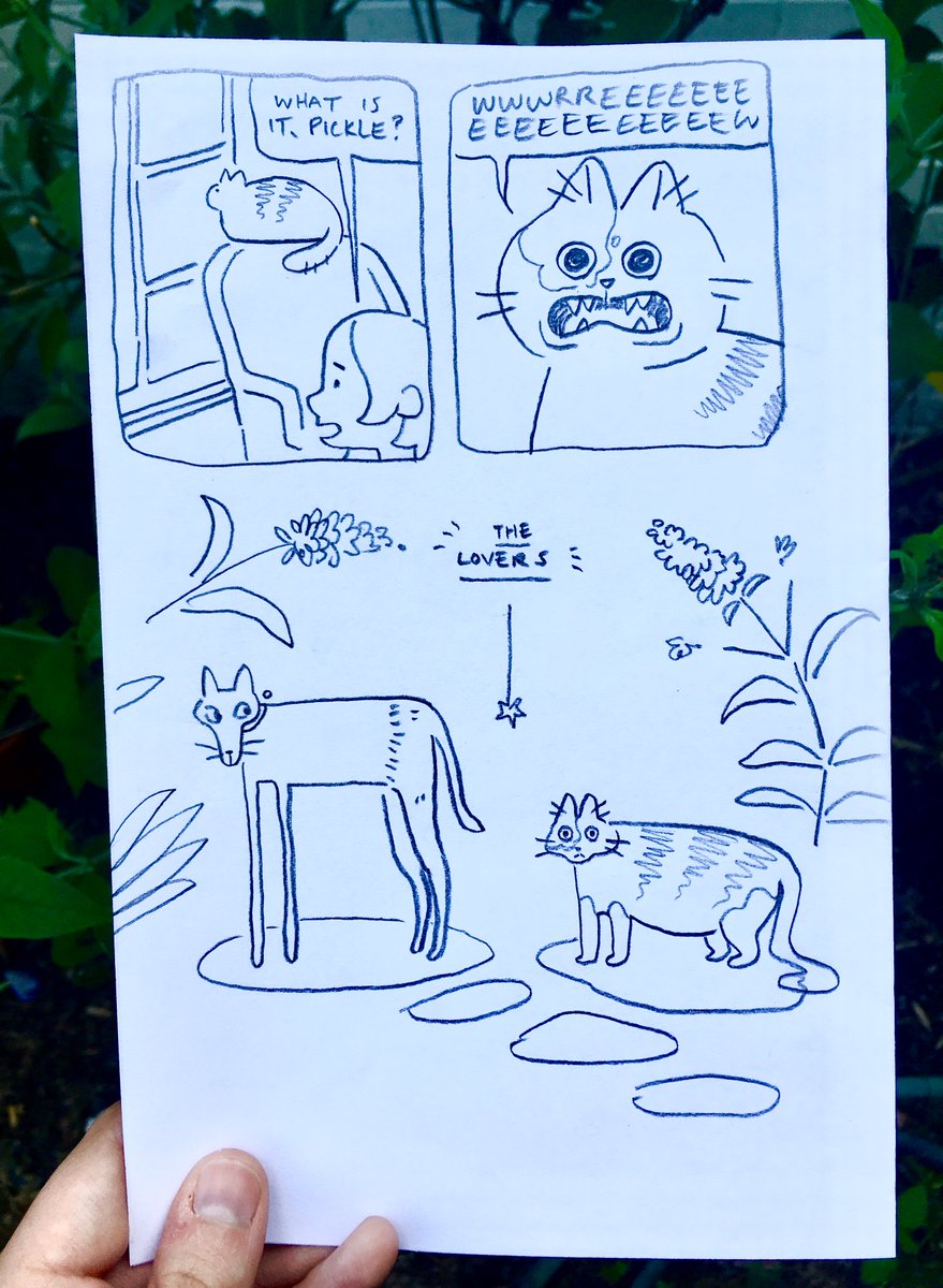 Amelia Allore @ hi, have you read my comic? tweet media