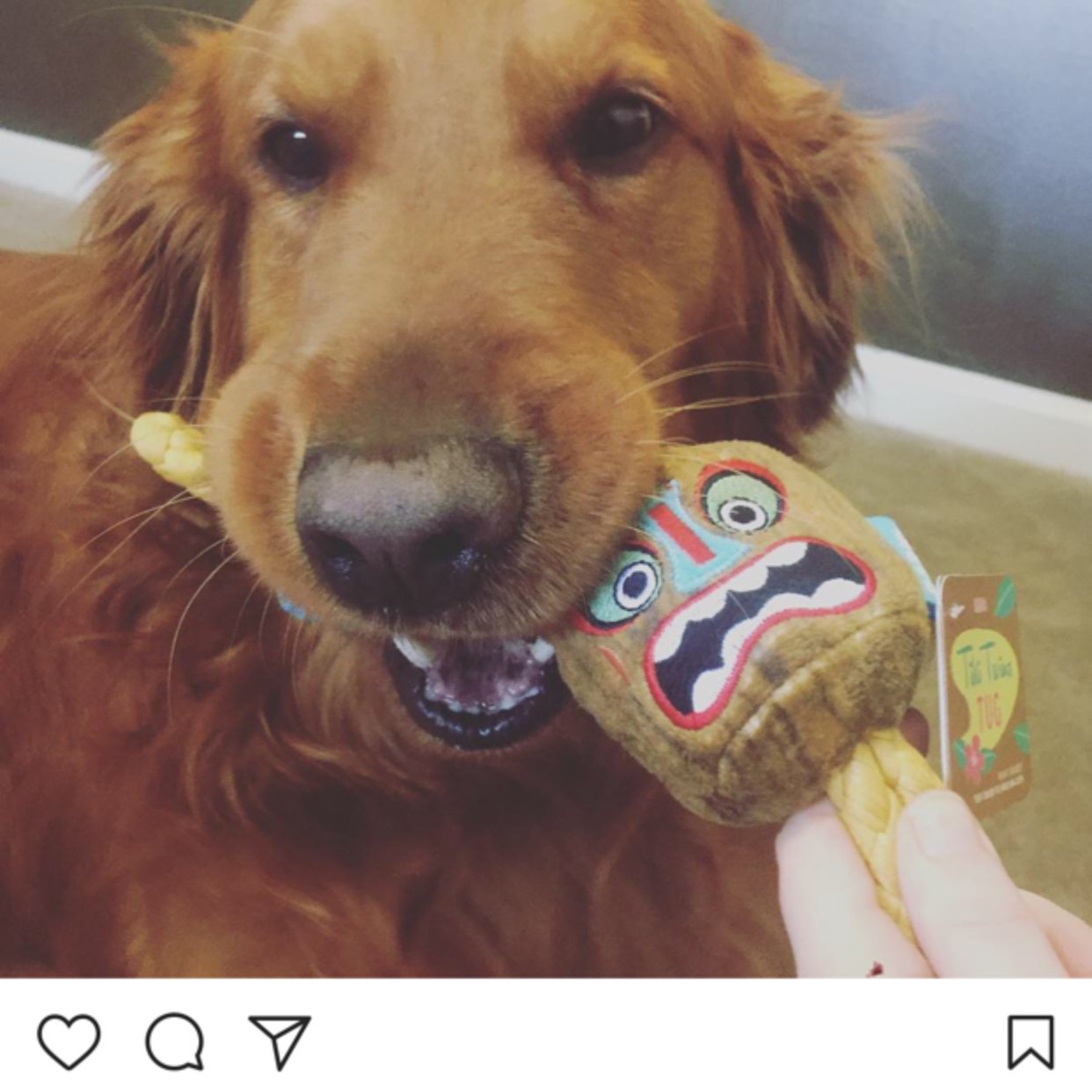 @influenster @BarkBox #BarkBoxInfluenster #Complimentary #Contest https://t.co/XixnENF8hH