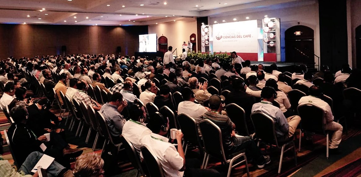 Muy buena audiencia esta tarde para las conferencias de Dr. Aaron Davis (café resiliente), Dr. Fred Georget (nuevos híbridos) &amp; Ing. Albert Scalla (mercado). ¡La Cumbre Mundial de Ciencias del Café continúa mañana! #CoffeeScience #ElSalvador #CumbreMundialdeCienciasdelCafé
