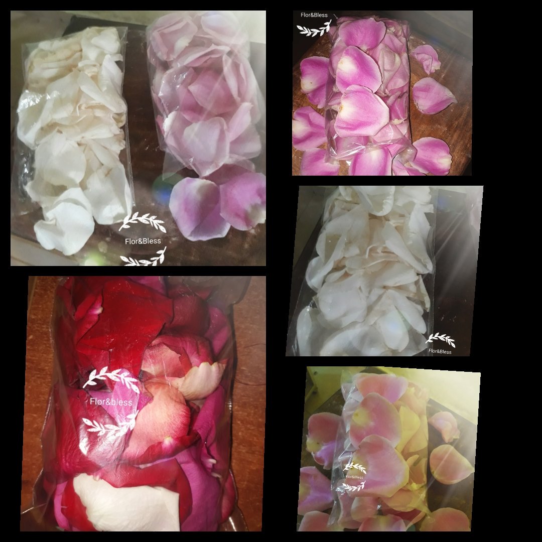 floristeria_d's tweet photo. 🌼🌸🍁🍃Petalos de Rosas en variedad de colores💓 https://t.co/O8yDVV08Dv
