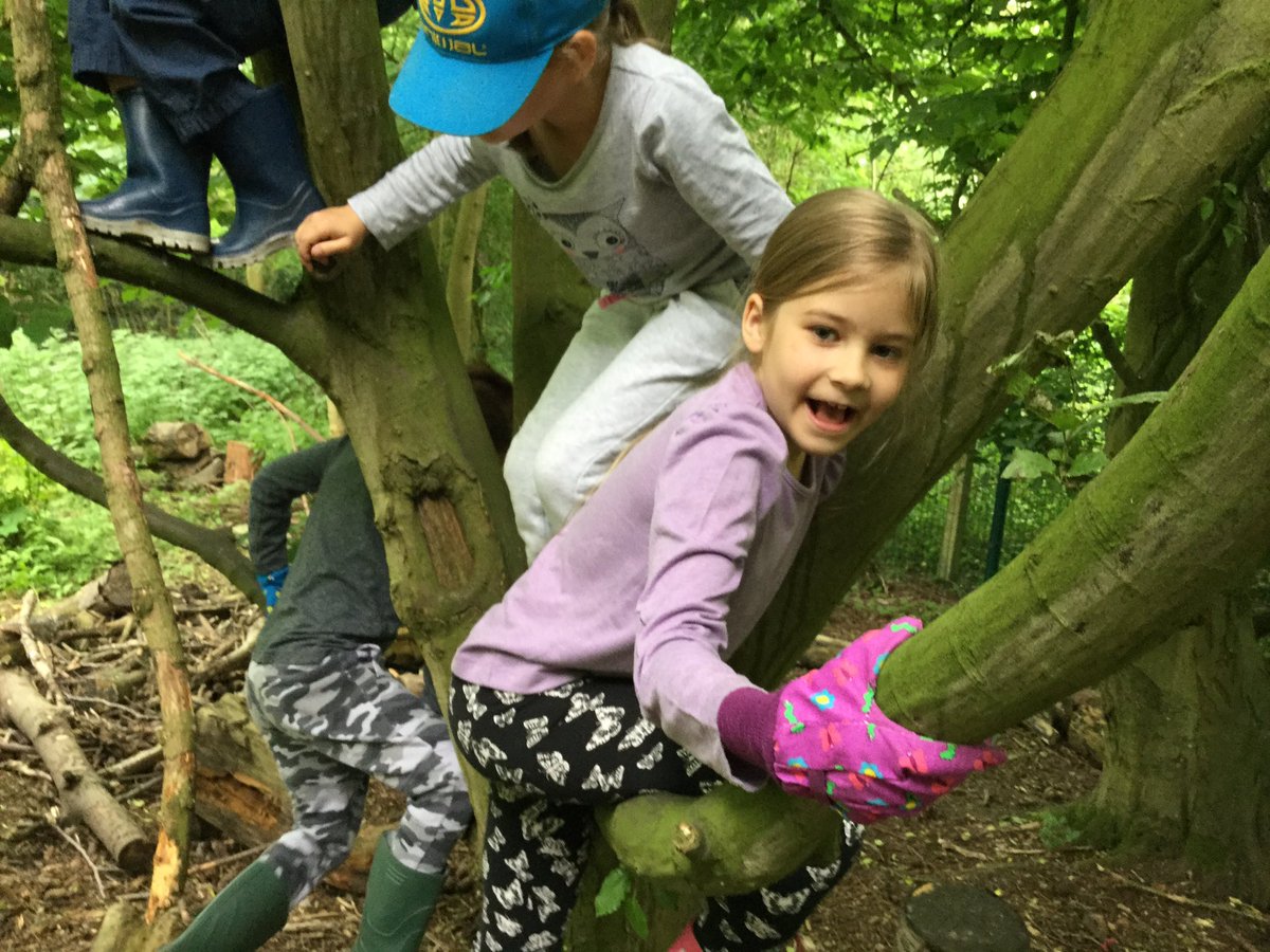 commonswood's tweet photo. Muddy Face Club had great fun climbing trees today! https://t.co/XsY41hKW52