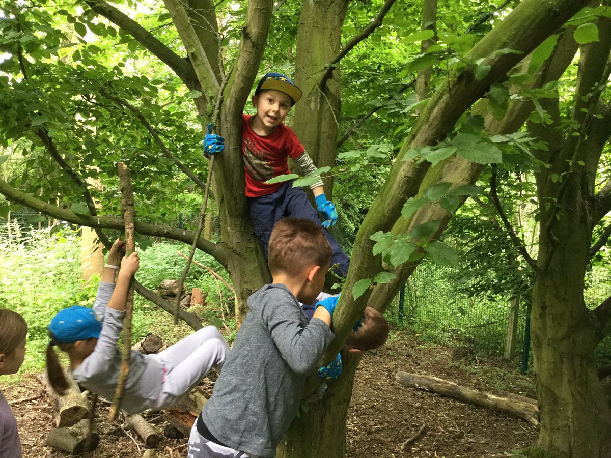 commonswood's tweet photo. Muddy Face Club had great fun climbing trees today! https://t.co/XsY41hKW52