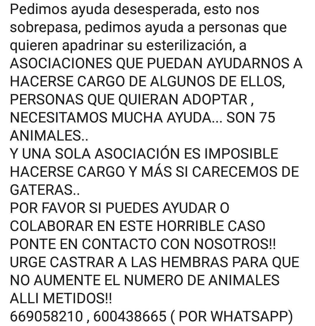 nataliafrutos_'s tweet photo. ⚠️🚨⚠️🚨🆘🆘🆘
#AYUDA muy #URGENTE para SÍNDROME DE NOE 75 #gatos sin contar RECIEN NACIDOS (45 hembras 25 machos) sin CASTRAR, MALVIVIENDO ENCERRADOS en 20m sin LUZ DEL DÍA durante AÑOS 💔😭
⬇️⬇️⬇️⬇️⬇️
https://t.co/0MWjjgp99X

#Difunde #acogida #Adopcion 🙏🙏🙏 https://t.co/FJBZFVO5OT