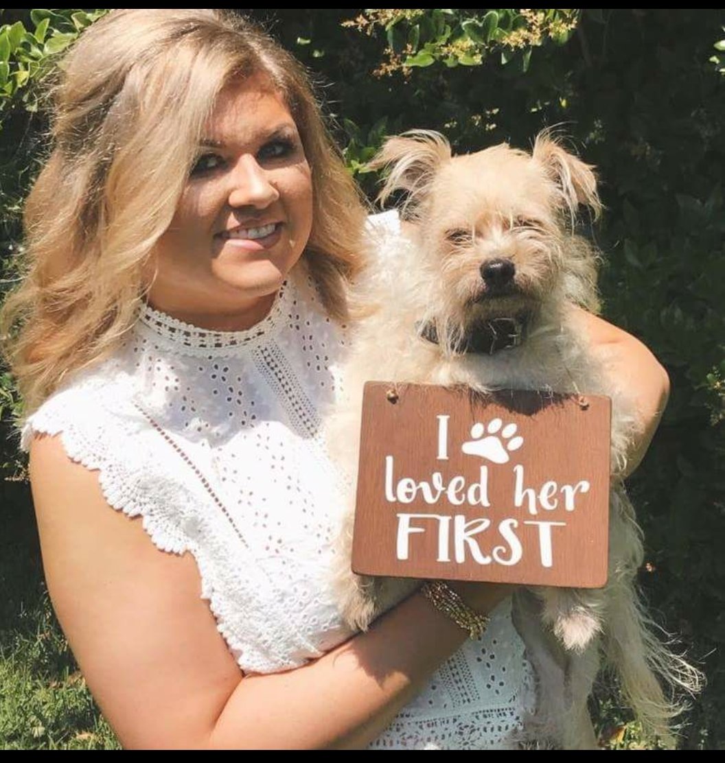 amym1586's tweet photo. My cousin's dog before her wedding!! #henothappy #nothappy #2kidsandahusband #dogs #rescue #doggos #shemine #ilovedherfirst https://t.co/lApG1yfKxy