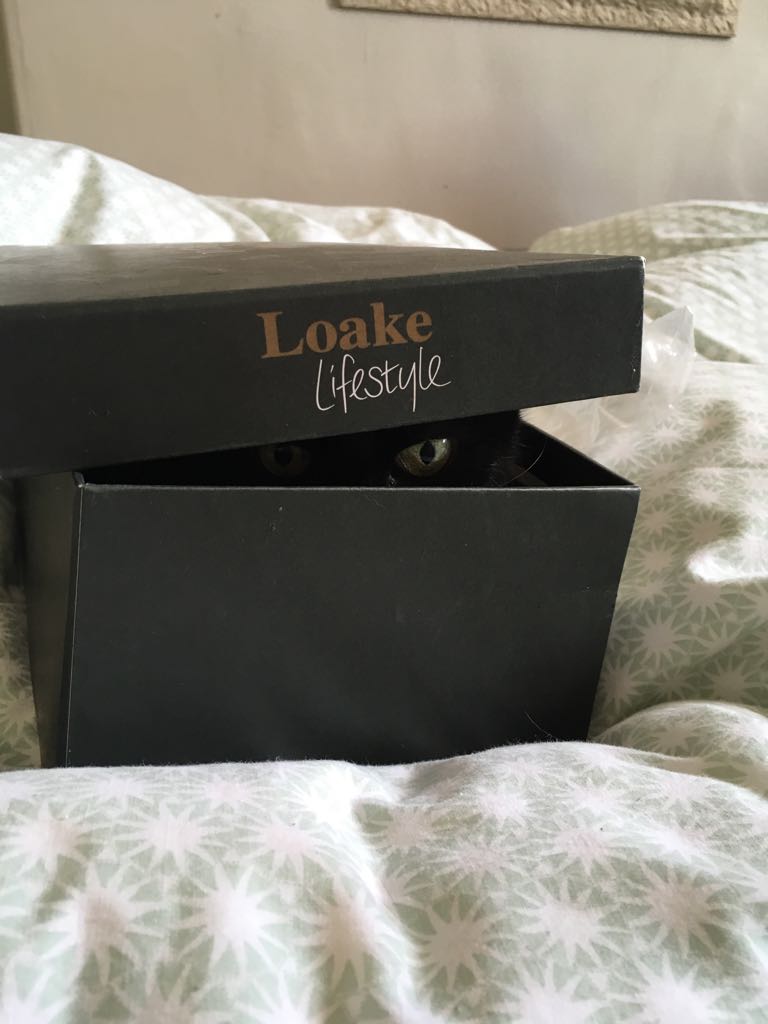 PR0VIDENCE's tweet image. #Deathbox .....box of death.