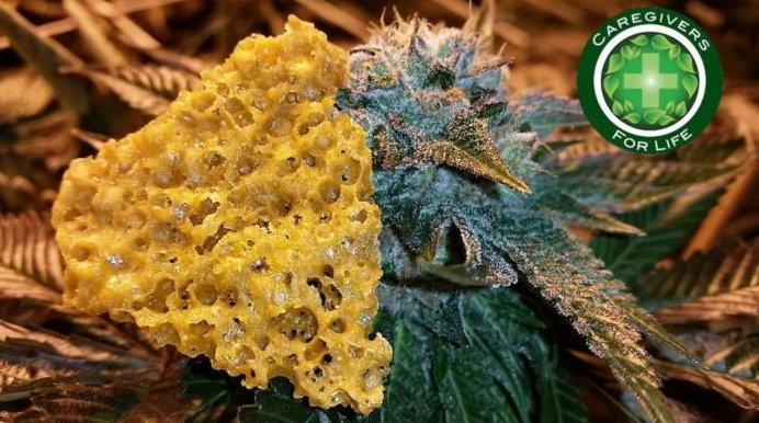 holisticannabis's tweet image. 700 MEDICINAL USES OF CANNABIS SORTED BY DISEASE  ow.ly/Mfng30kjC8o