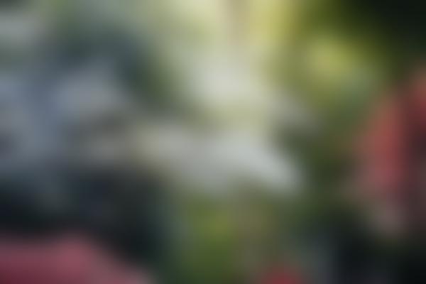 JSongseeker's tweet photo. Please support my GoFundMe campaign: https://t.co/0iBdt7U5Bm @gofundme https://t.co/vQstmg9leQ