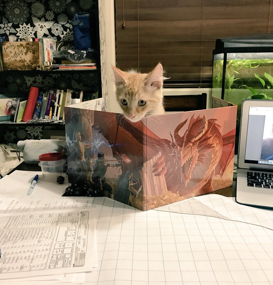 hufflepuffgnome's tweet photo. Loki the Kitty DMs! #criticalrole #critters #dnd @VoiceOfOBrien @matthewmercer @CriticalRole https://t.co/ZzTR5Xh0n9