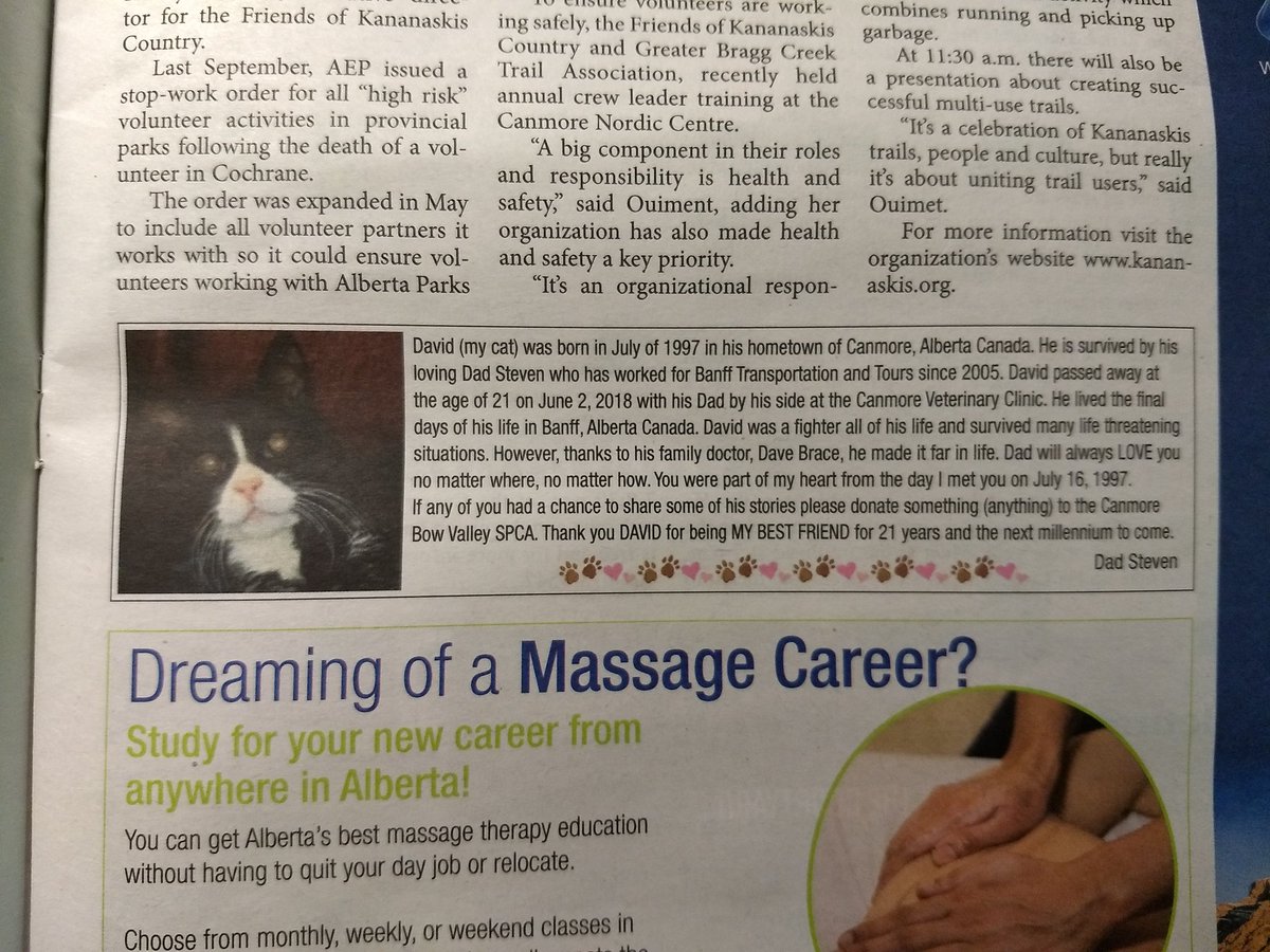 emmAuthentic's tweet photo. Oh, local papers. ♥️ Pretty sure I have to find and befriend the sweet man who wrote this obituary for his cat, David. #RIPDavid https://t.co/oOUtYexg2q