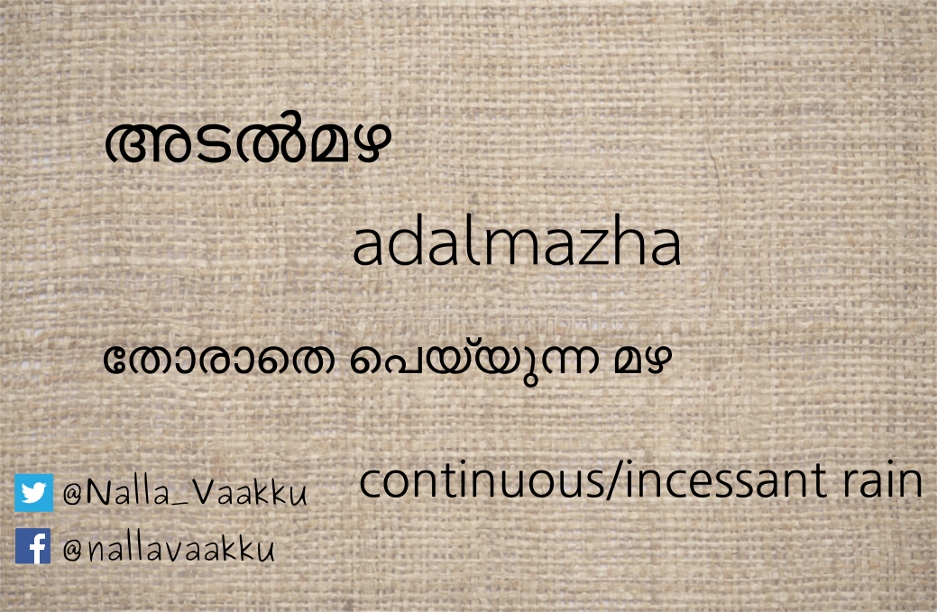 Nalla Vaakku Another Word From Our Theme Edavappathi Collective What Else Can Be More Suitable For Kerala Drenching In The Rains Monsoon Godsowncountry Seasons Wordoftheday Malayalam Meaning Languages T Co Gtzgoc8xr7
