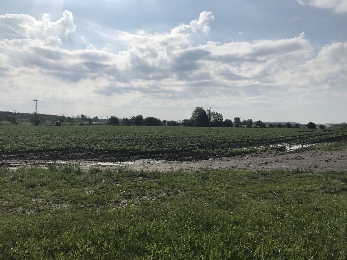 BeefBabe's tweet photo. I loved my time in the European Union 💕 on this study abroad trip I visited about 30 farms and institutions... and was VERY impressed! The castles weren’t too bad either 😉
I can’t wait to go back.
#EU #EuropeanAg #CzechAg https://t.co/ugHeaDrElI