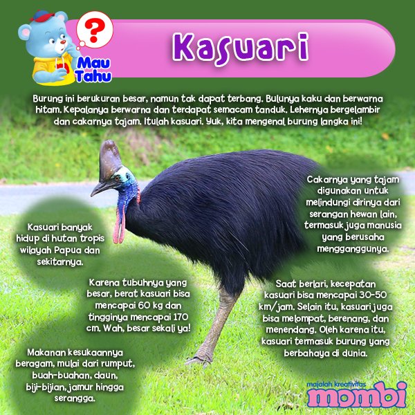 Majalah Mombi On Twitter Burung Cantik Yang Satu Ini Bernama