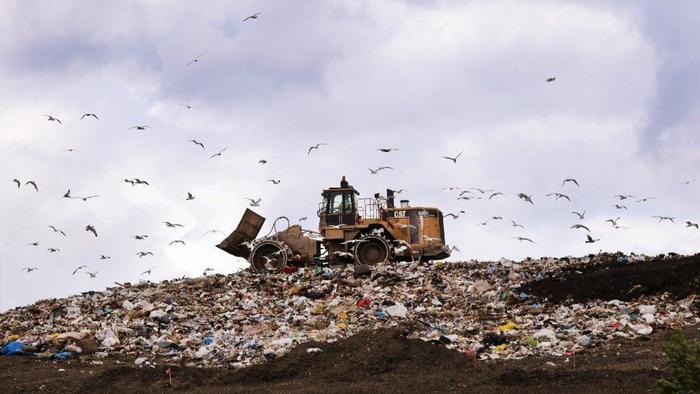 Lake County News-Sun on Twitter: "Winthrop Harbor resident Kerry Lake County News-Sun on Twitter: "Winthrop Harbor resident Kerry