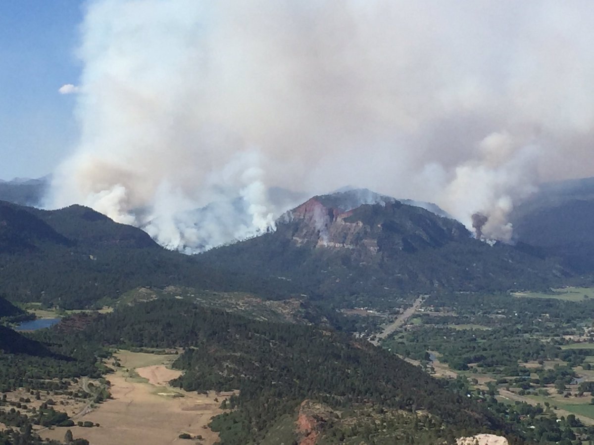 travis brown tweet media