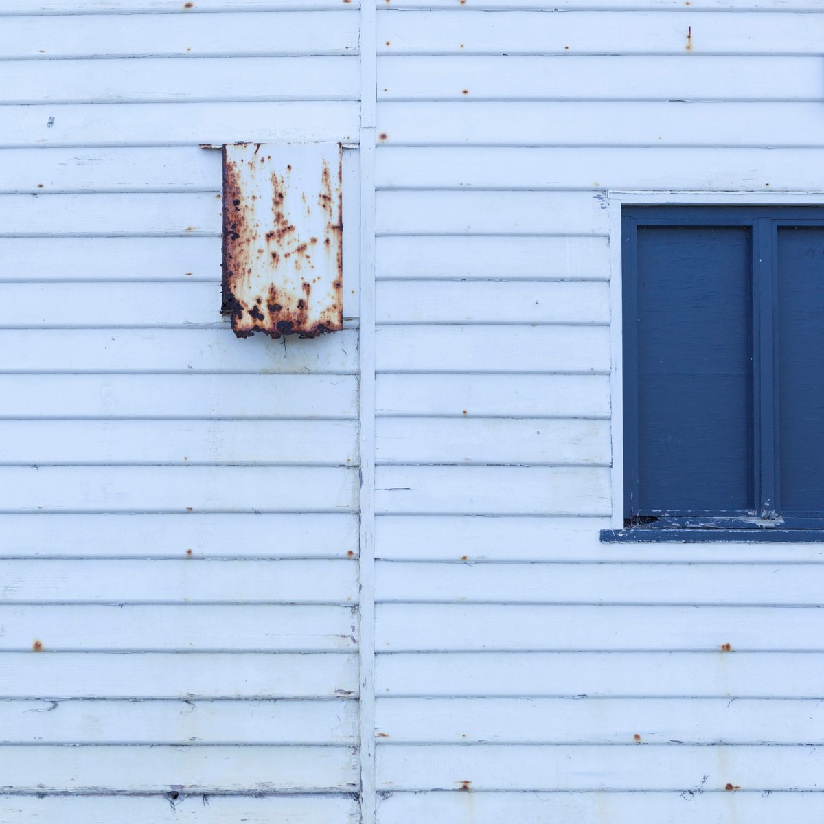 Squawk Digital tweet media