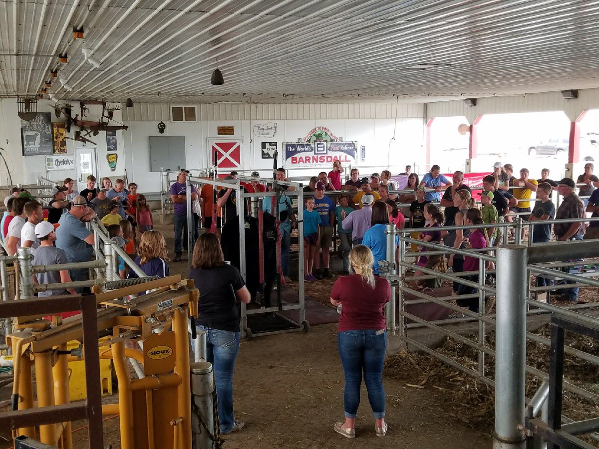 ThreeRiversFSCo's tweet photo. Show Cattle Fitting & Nutrition Clinic! #ThreeRiversFS #Purina https://t.co/DbbL5rj7iI