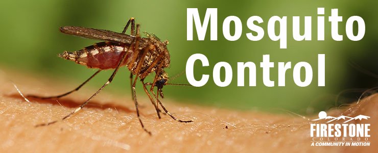 Firestone Public Works will begin mosquito control spraying throughout the community between 8:30 p.m. and 10 p.m. tonight, and will be out spraying again from 8:30 p.m. to 10 p.m. on Monday, June 11.  For more information, visit firestoneco.gov/MosquitoControl.