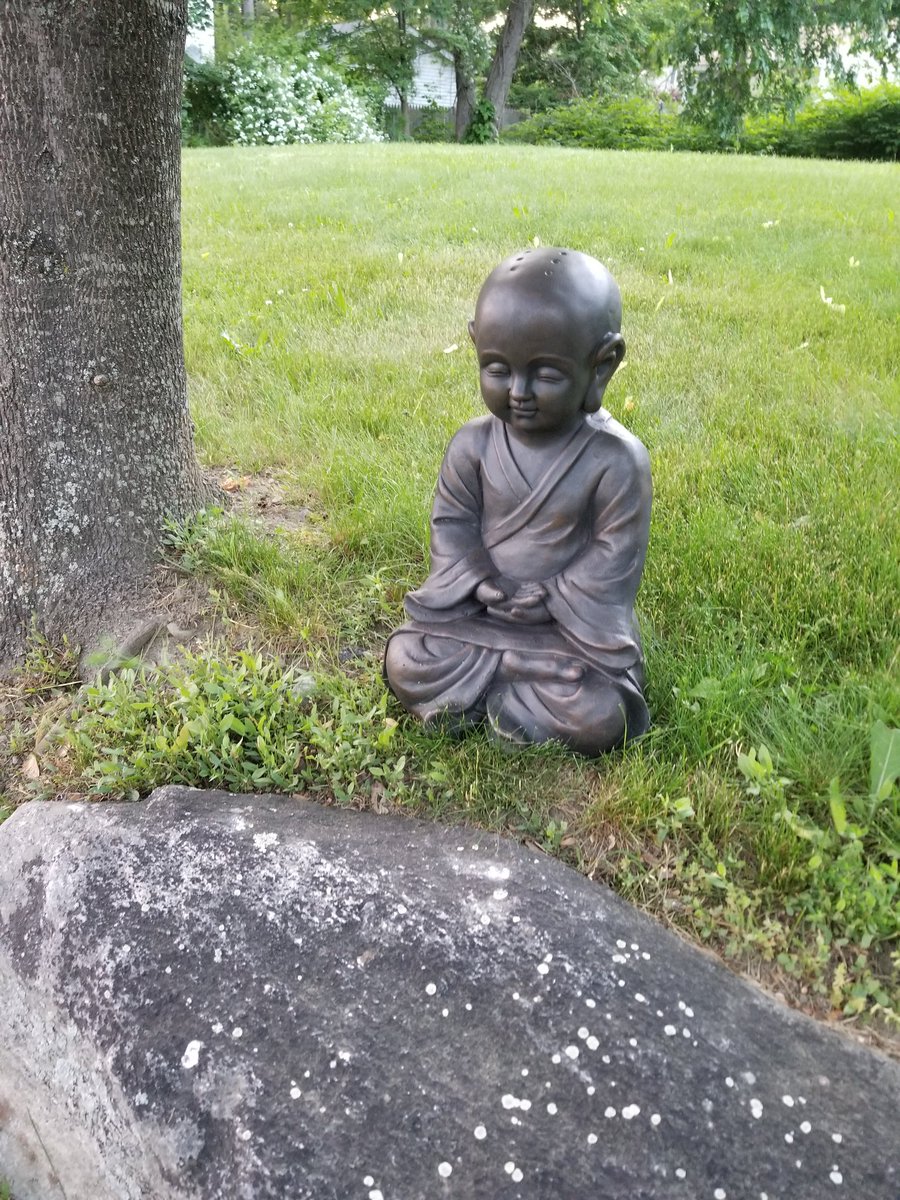 AyahuscaBoston's tweet photo. https://t.co/ZwhmMnM8Cg