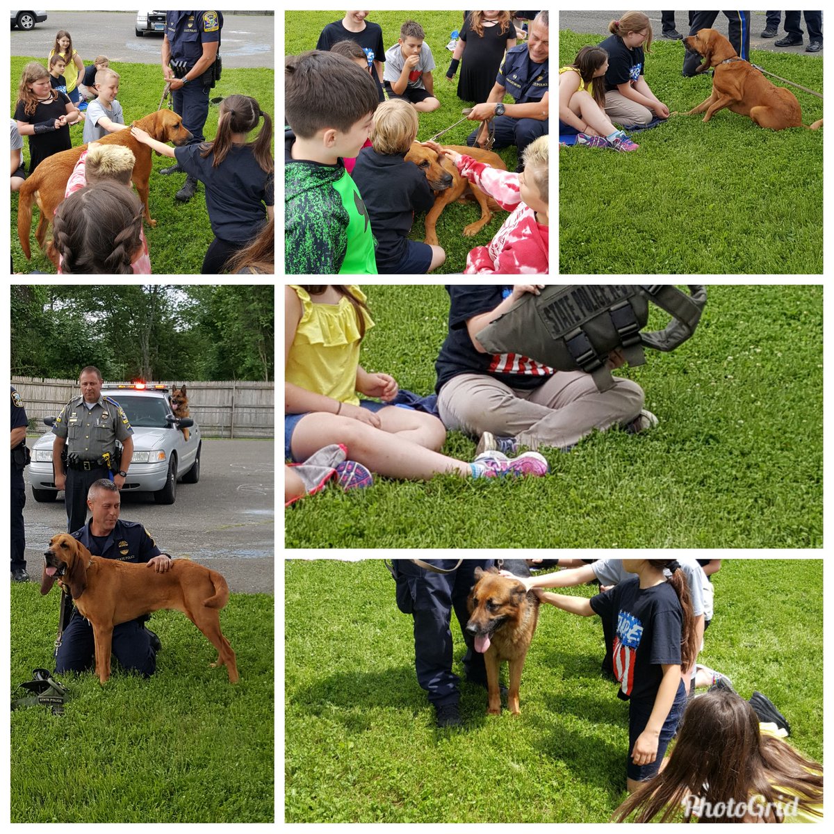 MissDainsBES's tweet photo. DARE celebration. Students loved the dogs and asked great questions. #ctreg14 #BESfifthgrade https://t.co/FJ9Y9DMPXW