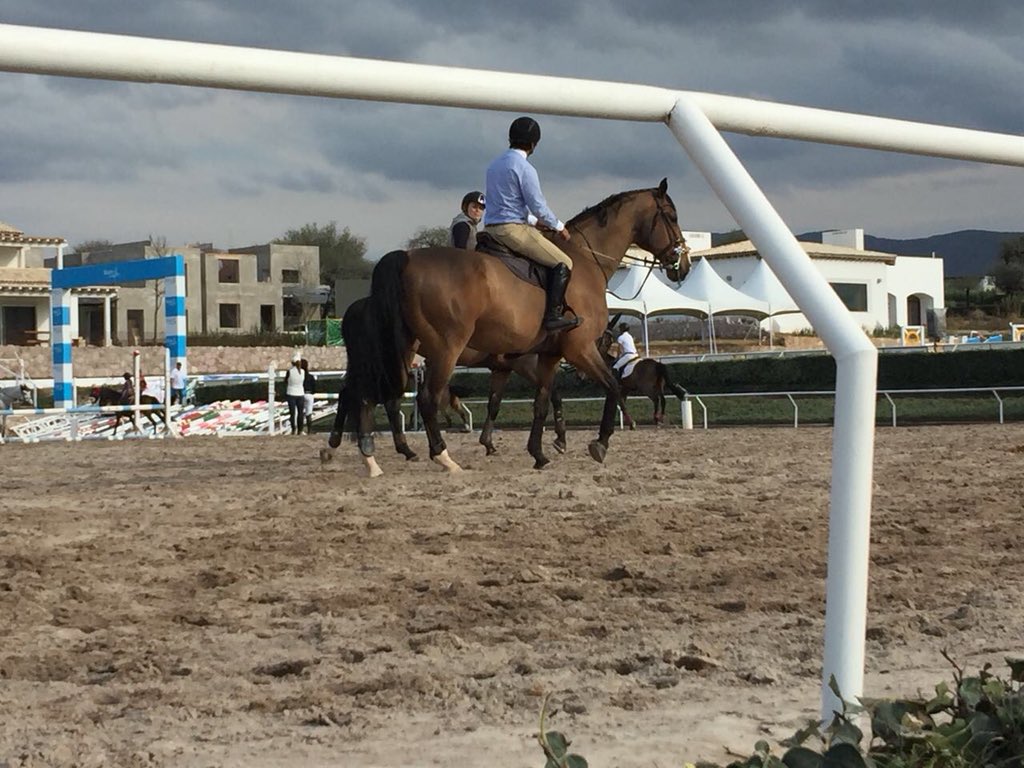 Rolling_Fruits's tweet photo. 9, 10 y 11 feb // Hípico 🐎🍓🥝🥕 https://t.co/MryC2bZqB7