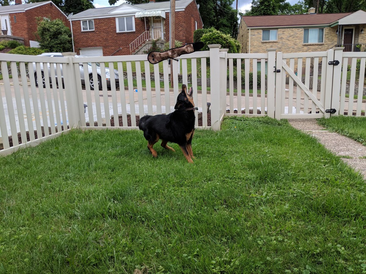 Jon Fisher tweet media