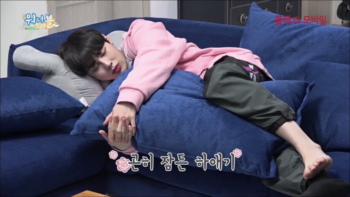 인간세상 내려와 스르르 잠든 요정🧚🏻‍♂️

#하성운 #HaSungwoon #워너원 #WannaOne