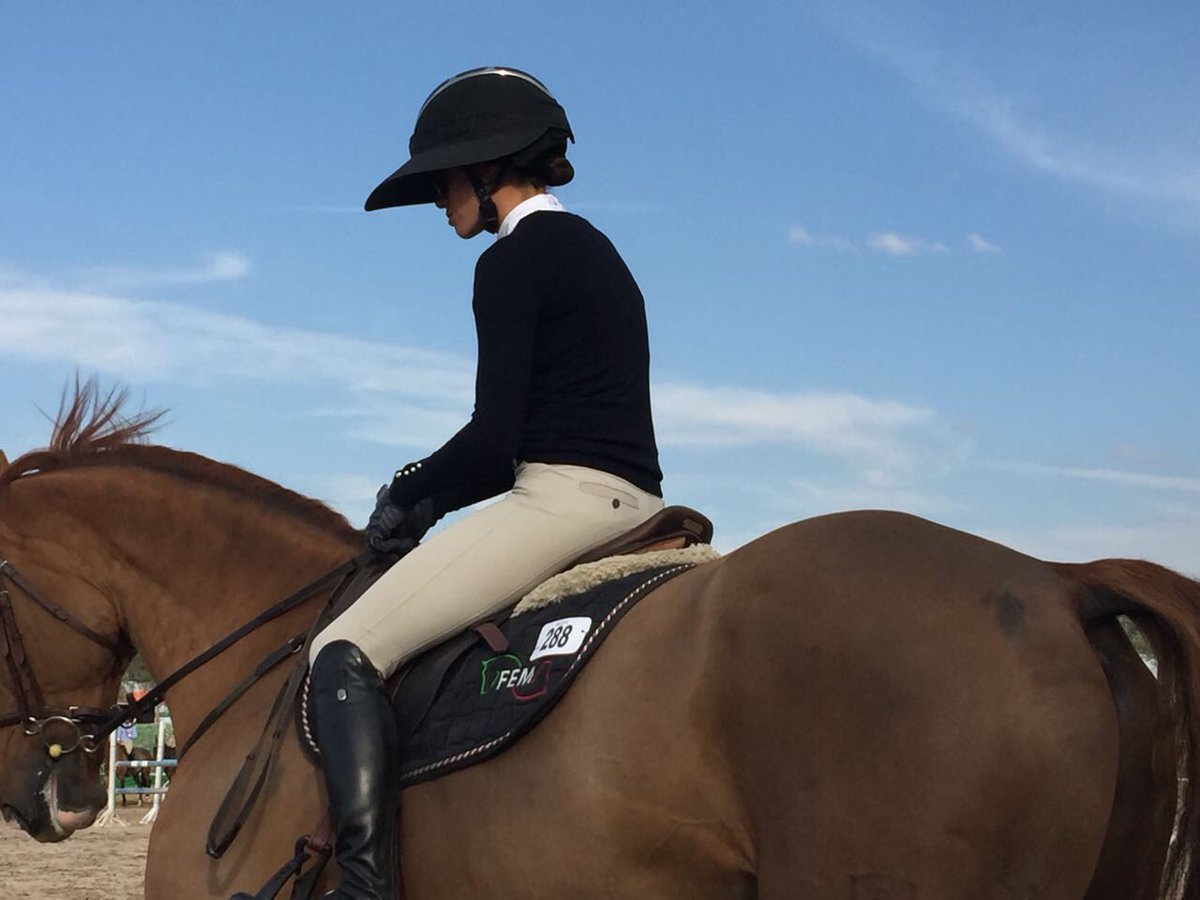Rolling_Fruits's tweet photo. 7-11 y 15-18 feb // Hípico San Miguel🍃🐎 https://t.co/O8x29sYRlt