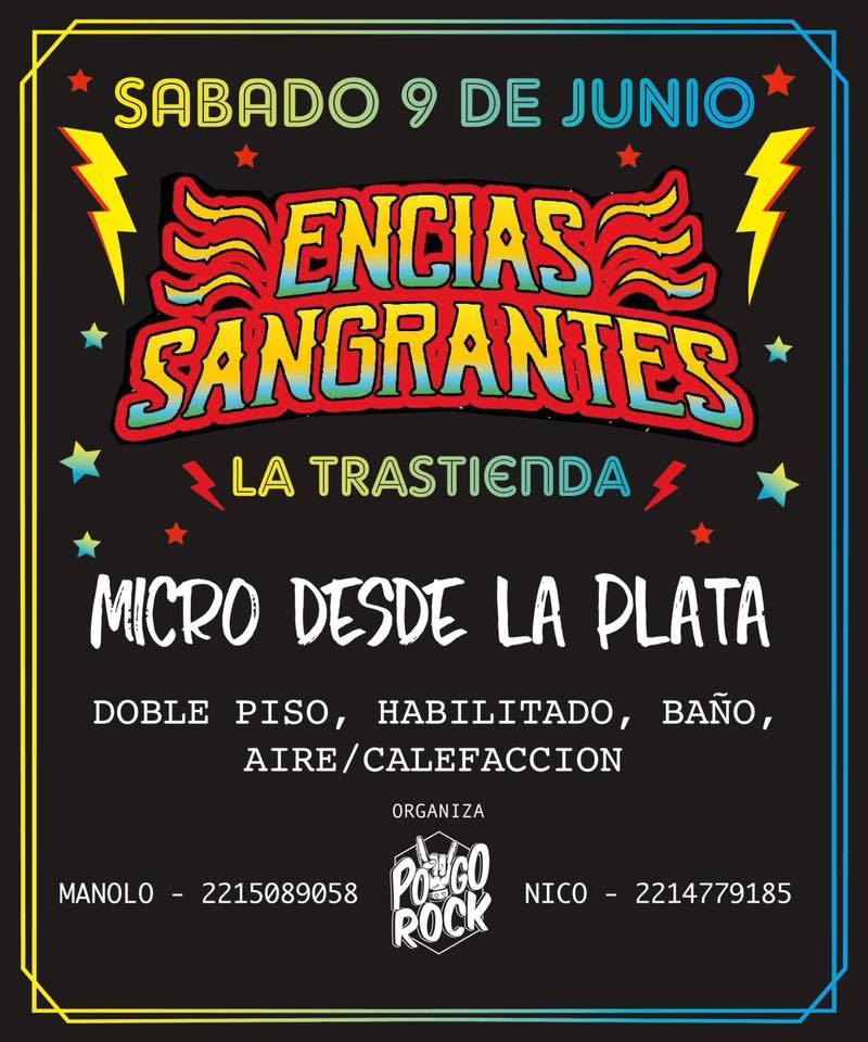 POGO ROCK tweet media