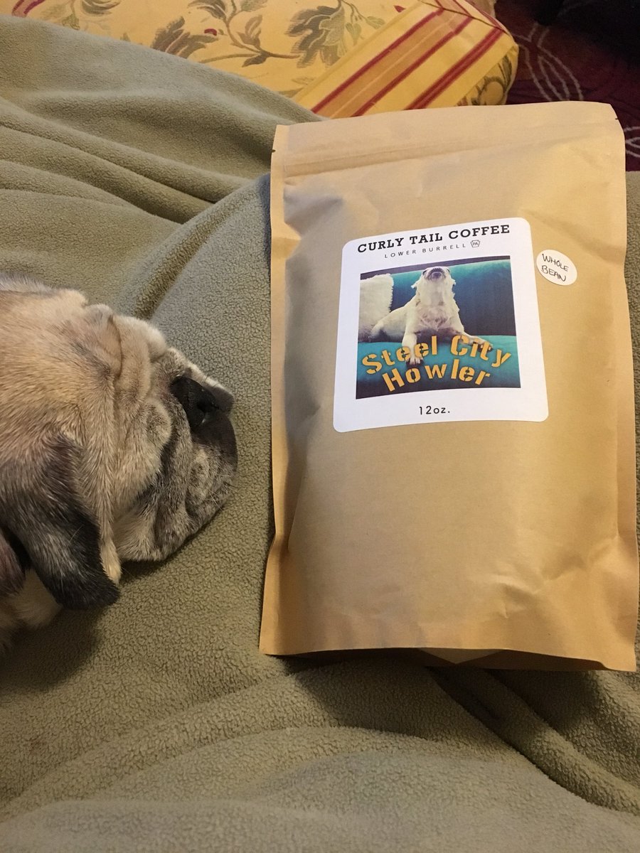 khaviland's tweet photo. Got my Steel City Howler from @CurlyTailCoffee and I can’t wait for tomorrow morning’s coffee! A great pic of @CharlestonPug as well 😍 https://t.co/G7vHTNgo2D