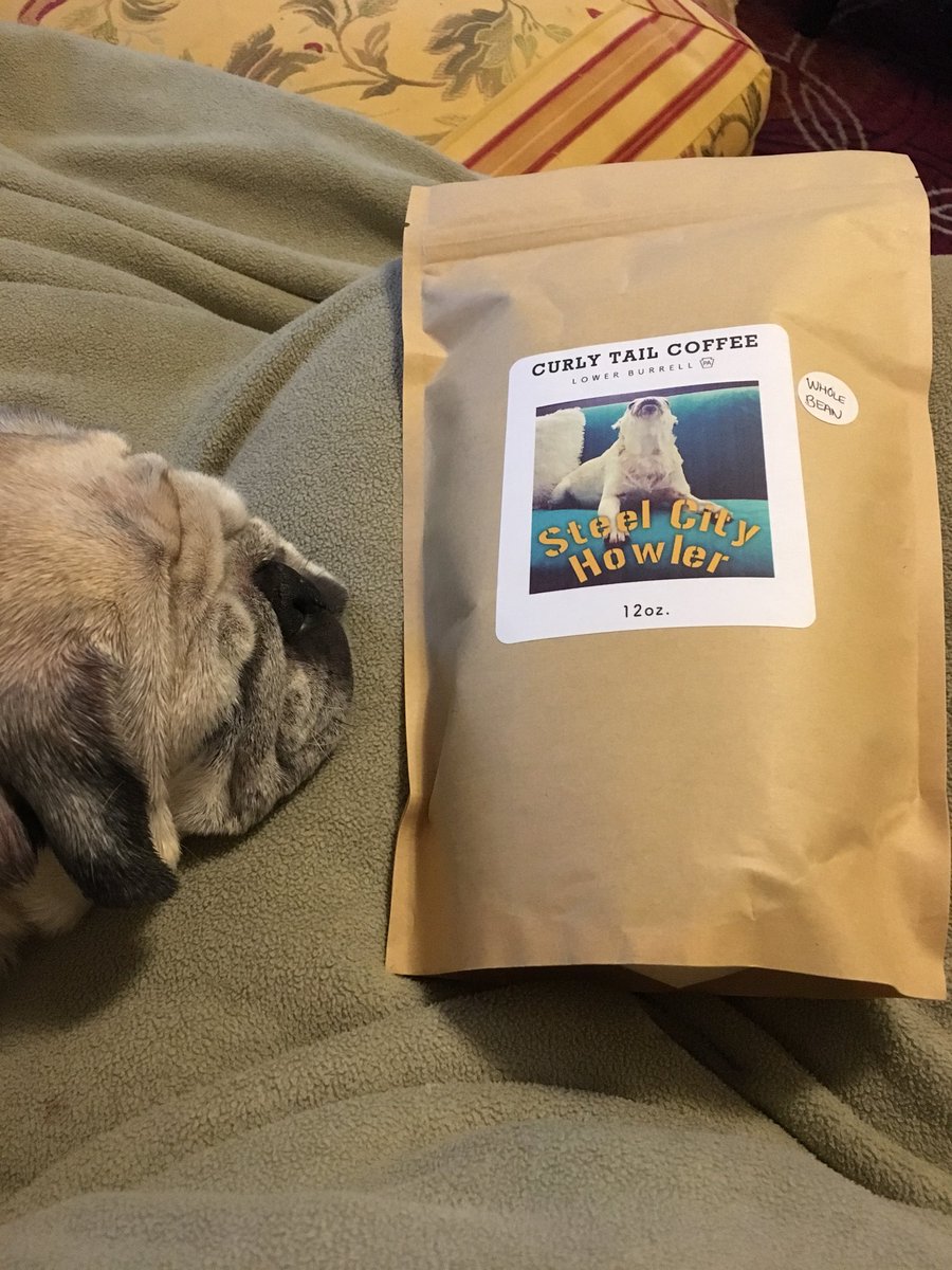 CharlestonPug tweet picture