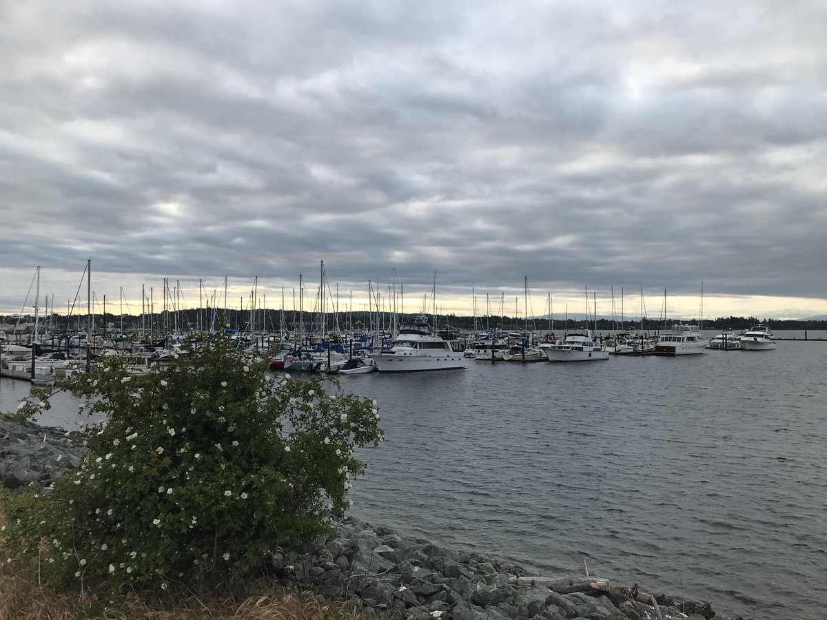 Rogue_swimmer's tweet photo. Clouds at Semiahmoo. Bringer of rain?
ABC of western Wa leadership. #abcevolve @ShannonODKOMO @NWSSeattle @ScottSKOMO https://t.co/IUhy5KBXAL