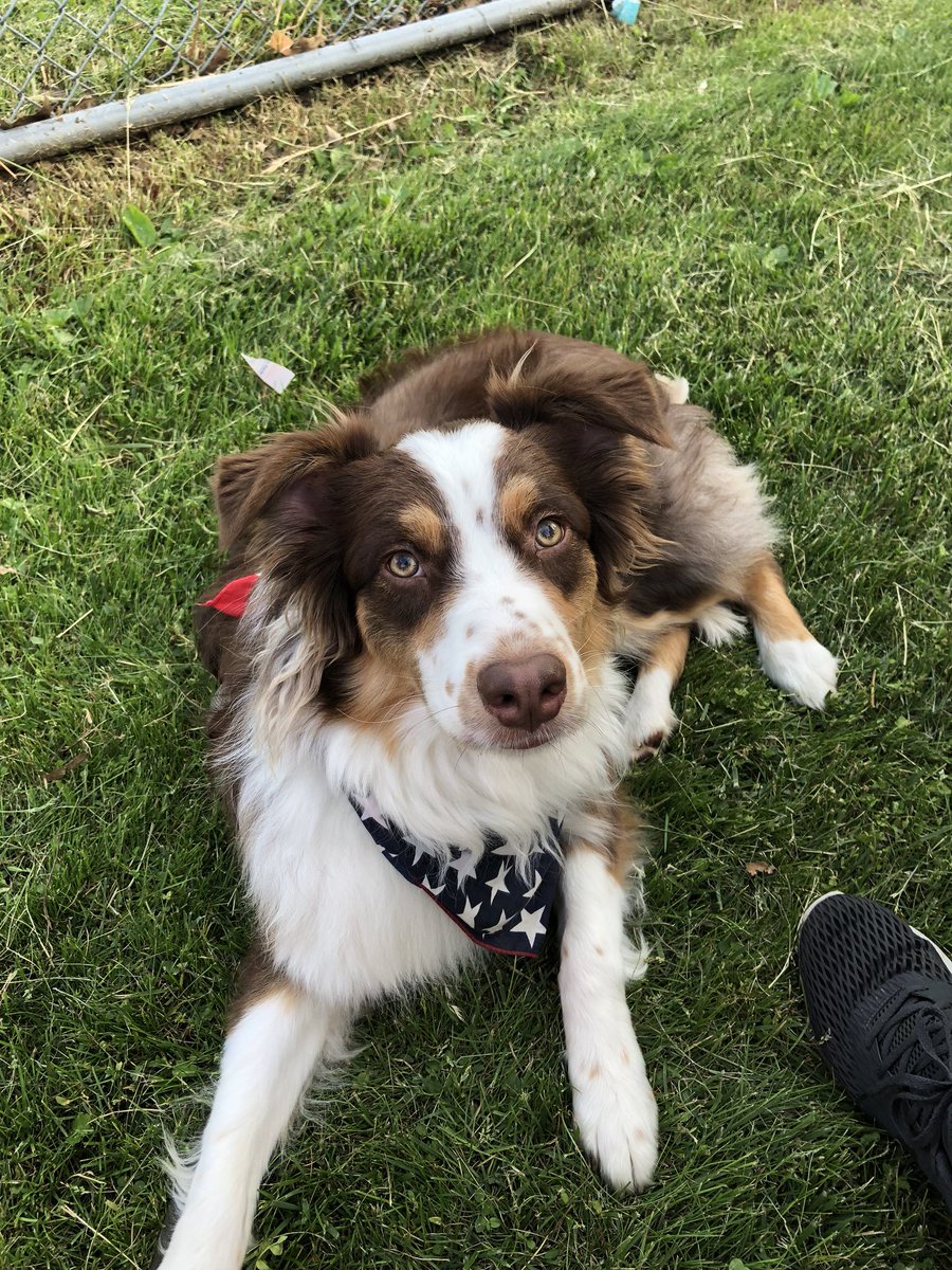 alexiraee's tweet photo. Sooooo Handsome ❤️ https://t.co/A4Q6lscU9c