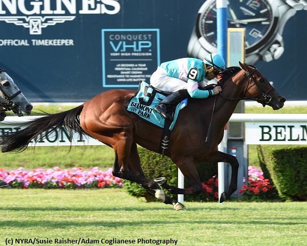 Brisnet's tweet photo. #LaSignare wires #WonderAgain (G3), #LaSardane gets up for #Intercontinental (G3) victory at #BelmontPark
https://t.co/eaDpRoiwqR https://t.co/r7koN6ir3I