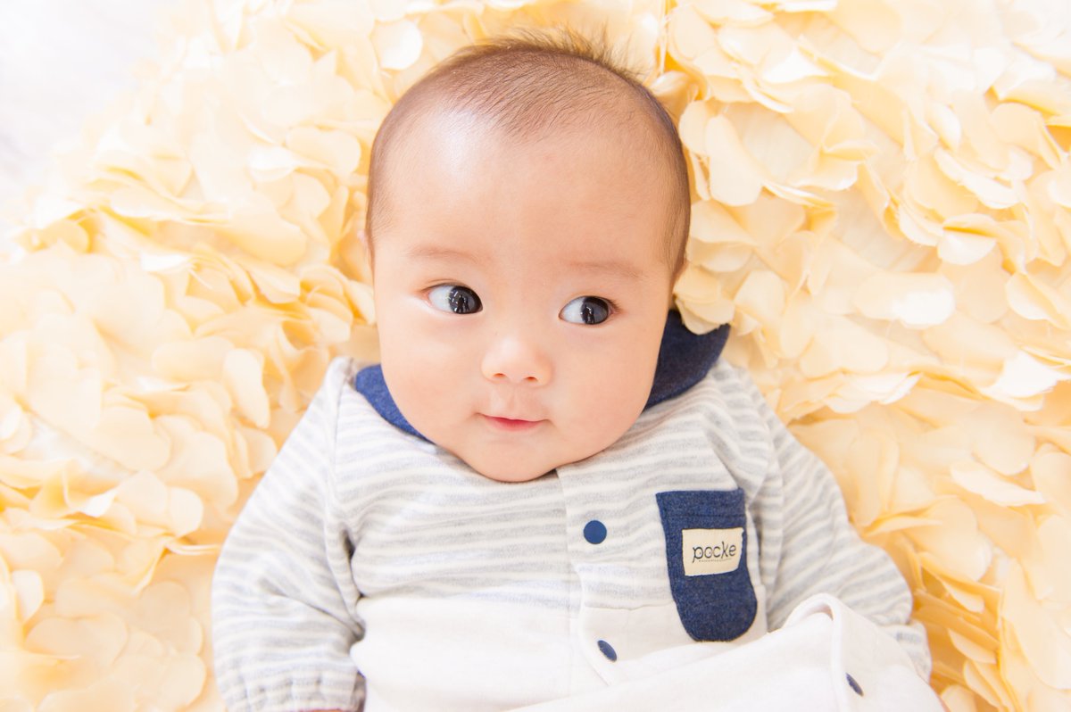 スキップハウス Pocke公式 No Twitter Pockeの新生児のお洋服を着てくれたくりくりのおめめがカワイイあさひくん 当店スタッフも天使みたいでカワイイ と絶賛お写真たち Pocke 2wayドレスhttps T Co K0ptvwodnp Pocke 5枚組肌着https T Co Rz2gg8ika3
