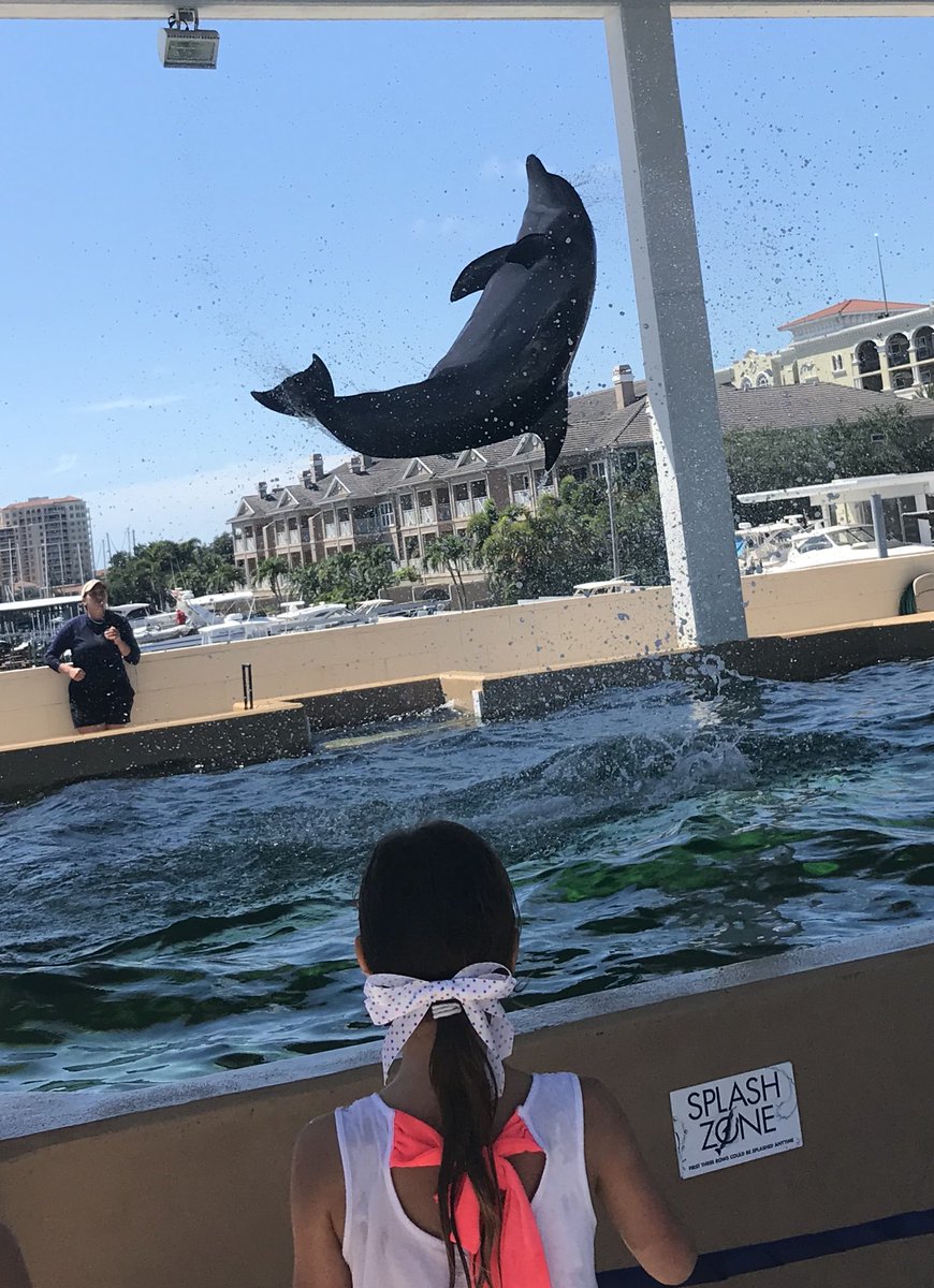 ohcripe11's tweet photo. @CoziZuehlsdorff - What a highlight for us to meet you today! Was it tacky to mention your amazing singing voice & great talent in #purecountrypureheart while at @CMAquarium? Of course we fell in love with you in #DolphinTale. Stay true (Rom8), from a true fan here in Bradenton! https://t.co/78biS2VO28