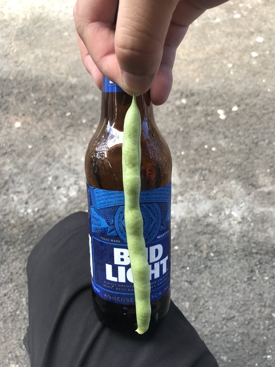jonten808's tweet photo. That’s what you call a BEAN!! https://t.co/aJXM4CAaVm