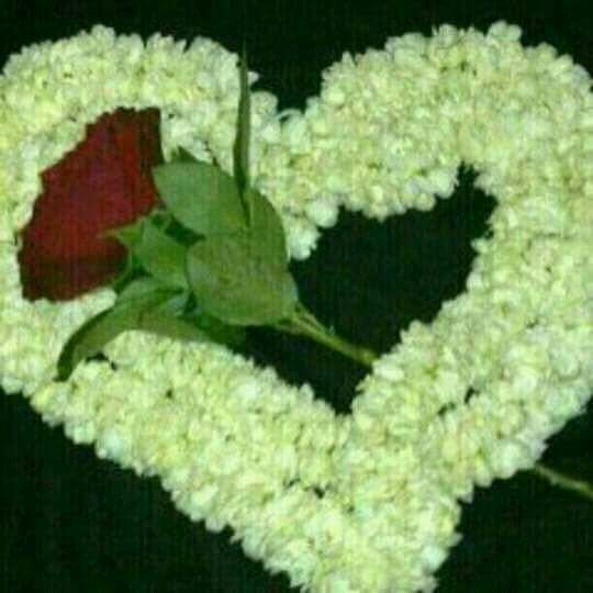 AssssAaa14's tweet photo. صباح الخير جمعتكم مبراكه بليز على متابعت  اتويتر لاني مشغوله https://t.co/K81HMuYYqz