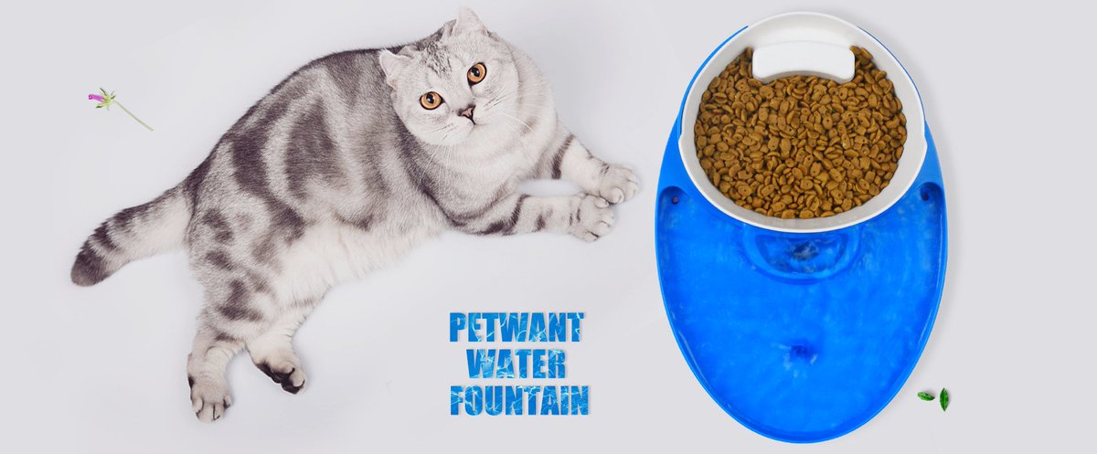 Petwant's tweet photo. Products we have now:
PF-102
F1-Wifi
F3 Wifi
PF-105
F2-Wifi
F3-Wifi
water fountain
Grooming products https://t.co/r7n0qRyuUC