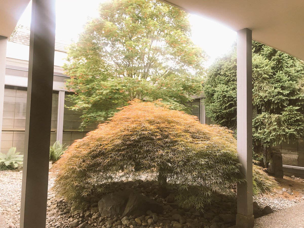 HousingAndParks's tweet image. #designcrime #hostilearchitecture