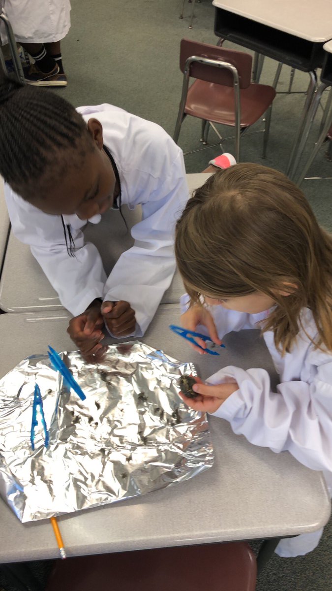 EmbreyKait's tweet photo. A little owl pellet dissection today! @CESbuzzing https://t.co/QiXJSCk8VR