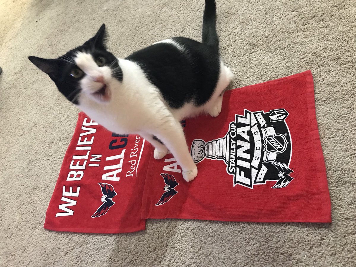cankdaddy's tweet photo. Go Caps!!!! #1-0 @NBCSCapitals https://t.co/Yq7TGDzABL