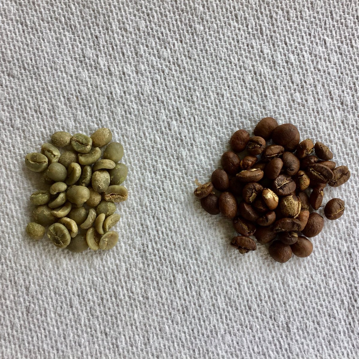 lanceolive's tweet photo. I roasted some new #coffee beans today. On the left is the “green”, raw beans (these are a blend of #Guatamalan mountain farms). On the right, are #roasted beans, just before #secondcrack. Tomorrow I will make #coldbrew. https://t.co/7wvU8Q1IT2
