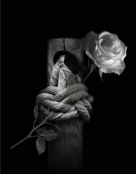 Antonella284's tweet photo. Rose per me https://t.co/zlWHT2WtTw