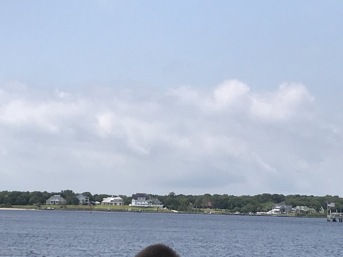 Mrs. Ardito tweet media