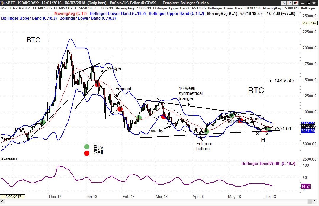 Woody S Application Chart