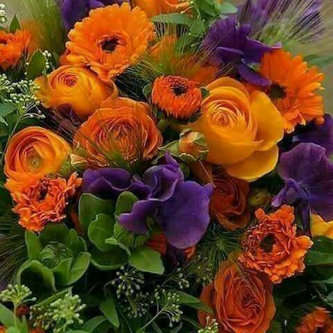 AssssAaa14's tweet photo. عندما ت��ب شخص ولاتره على اتويتر في تويتر مالوش ايا لزوم https://t.co/8FfXGPdjie