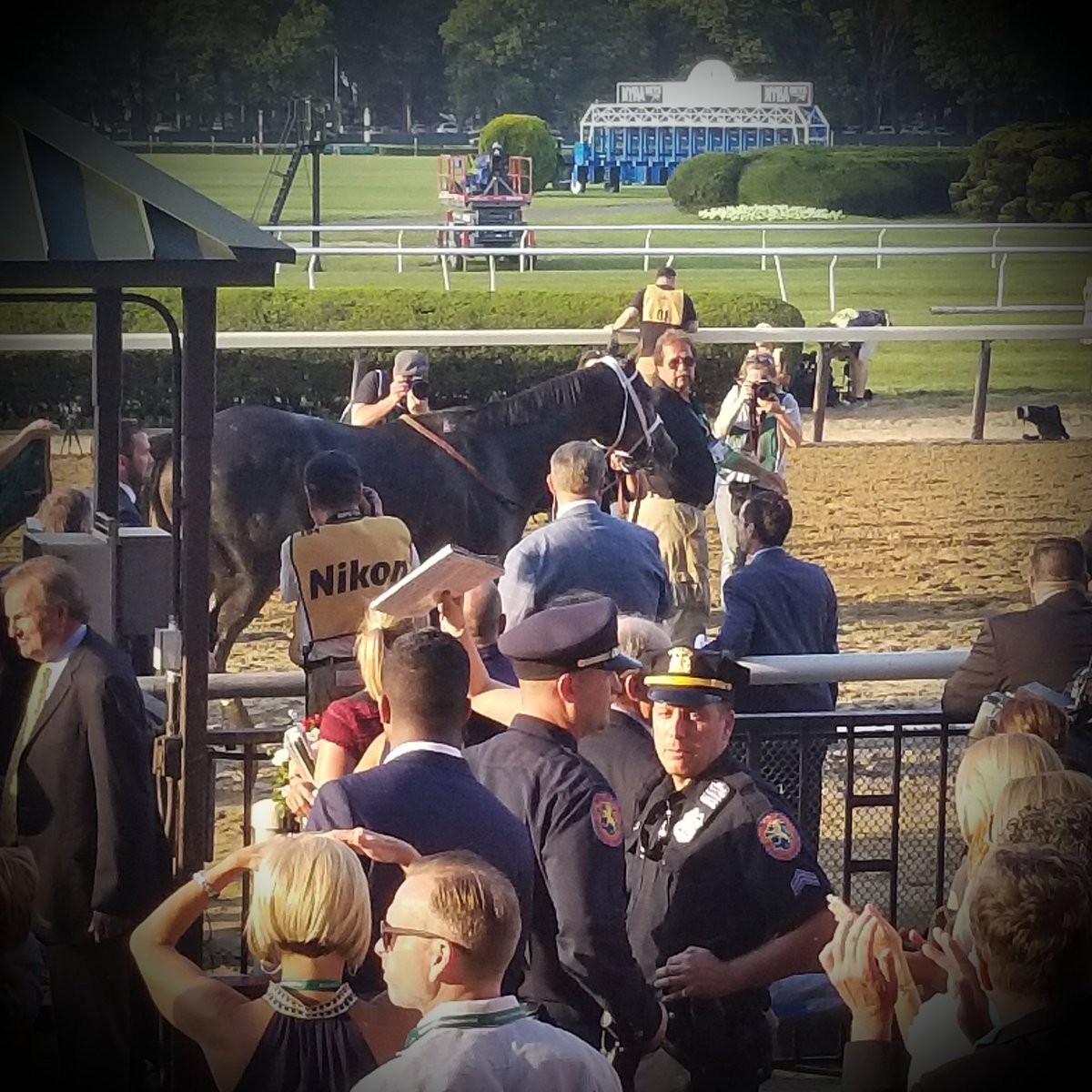 ChalouxAnn's tweet photo. The 2017 @BelmontStakes winner, @tapwrit on his way back to the barn after the #WinnersCircle! #pletcherracing #ThrowbackThursday https://t.co/f6XoGeqt3u